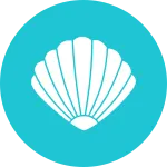 Clam SVG Icon